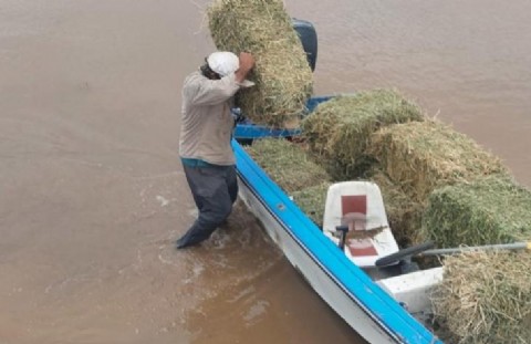 El Gobierno provincial intensifica el rescate y la asistencia de animales en áreas afectadas