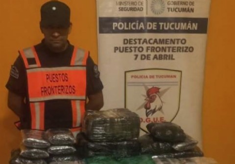 Operativo Lapacho: incautan más de 80 kilos de hojas de coca en controles fronterizos de la provincia