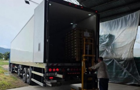 Tucumán concretará la primera exportación de ají y pepino a la Unión Europea