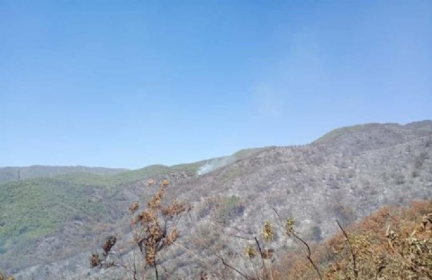 La Cocha: intensas tareas para controlar el incendio en el cerro Kiko