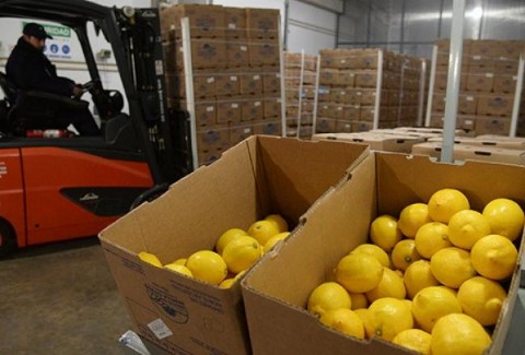 Las exportaciones provinciales crecieron cerca de 100 millones de dólares en el primer semestre