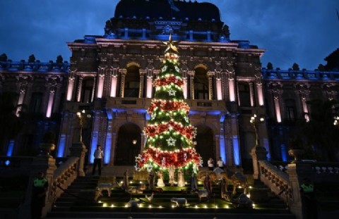 La Casa de Gobierno encendió su árbol de Navidad