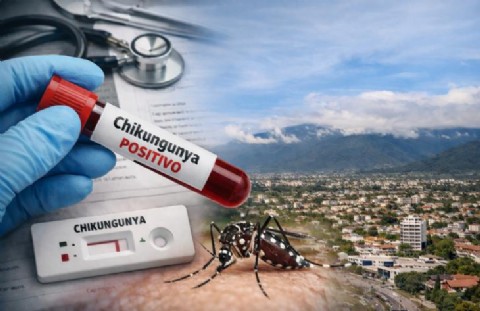 Tucumán confirmó el primer caso de chikungunya y activó el control de foco