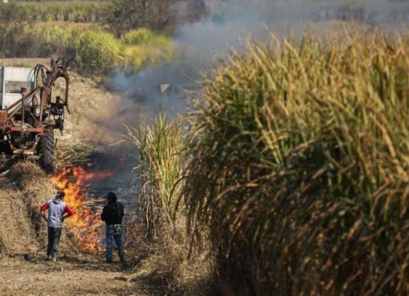 La Provincia fortalece la prevención de la quema de cañaverales y asistirá a pequeños productores