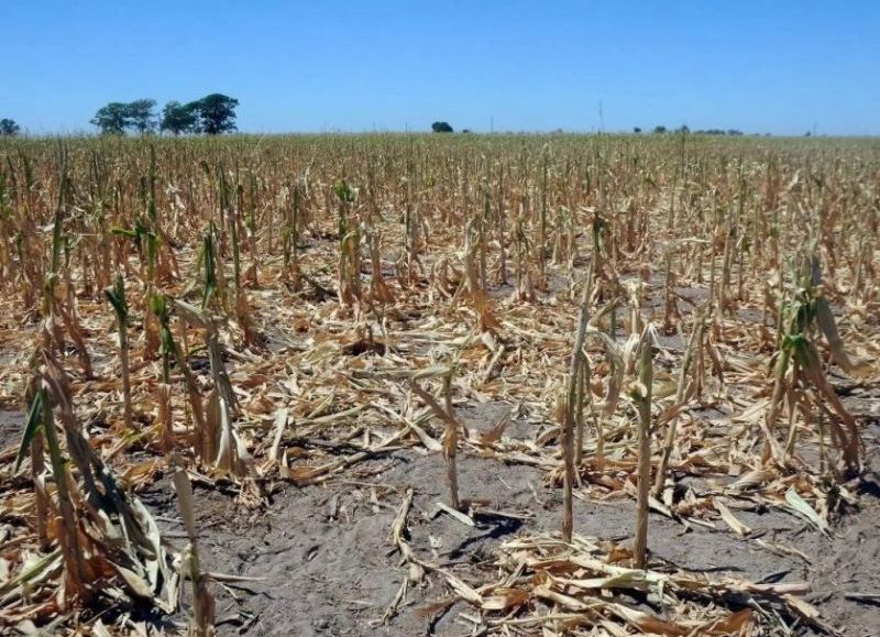 El Gobierno Nacional declaró la emergencia agropecuaria en Tucumán por sequía